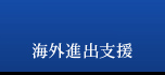 海外向けWEBサポート