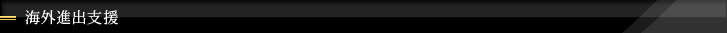 海外進出支援